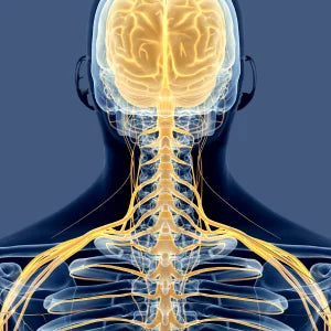 Neck Shoulder Massager Deep Tissue Shiatsu Back Massagers with Heat for Pain Relief Electric Kneading Squeeze Muscles Massage